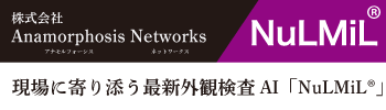 株式会社Anamorphosis Networks