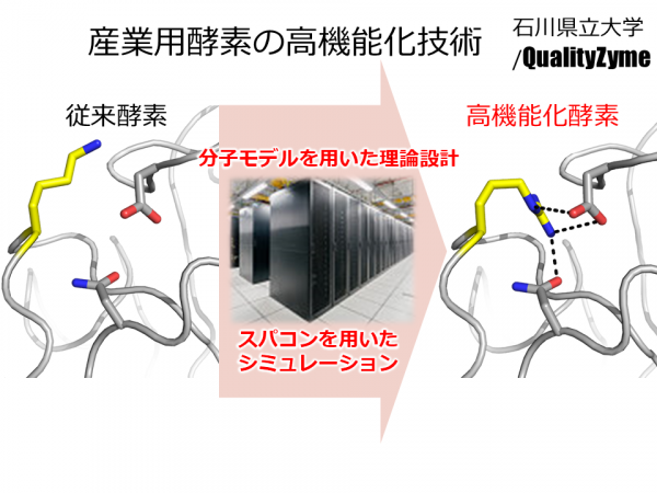 石川県公立大学法人石川県立大学　QualitiZyme